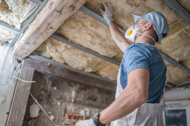 Best Cellulose Insulation in Rio Vista, CA